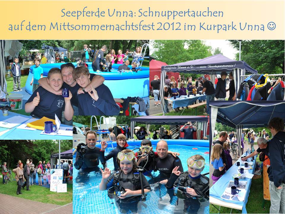 mittsommernacht_2012